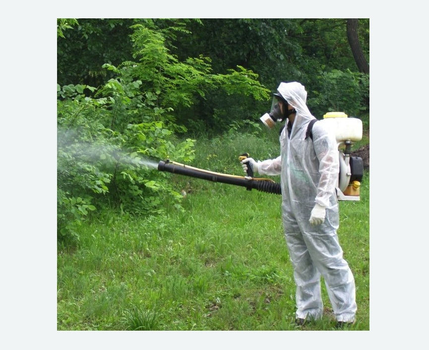 обработка территории от клещей в Сорочинске