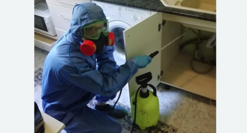 Уничтожение муравьев в квартире. Сорочинск