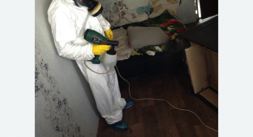 Обработка квартир от насекомых в Сорочинске