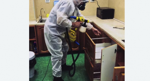 Дезинсекция квартиры. Сорочинск