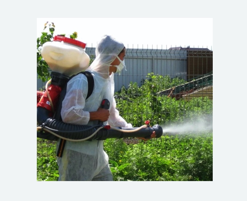 Акарицидная обработка территории в Сорочинске