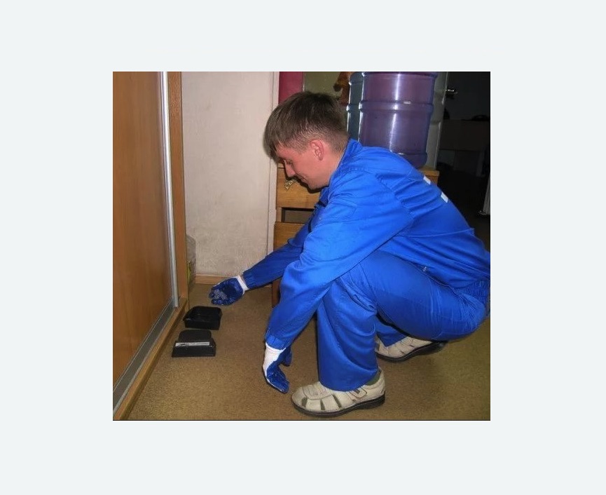 Дератизация крыс в Сорочинске