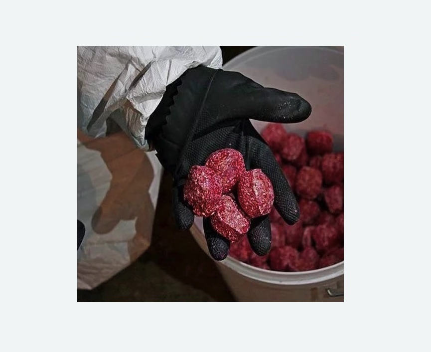 Обработка от крыс в Сорочинске