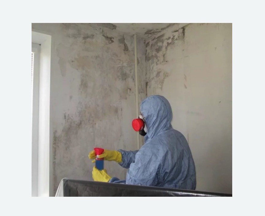 Удаление плесени в квартире в Сорочинске