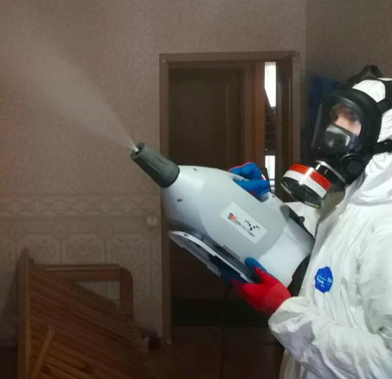дезинсекция помещения в Сорочинске