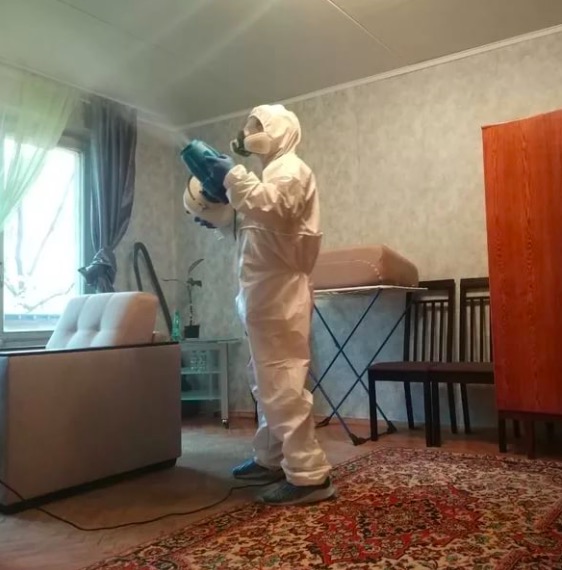 дезинсекция квартиры в Сорочинске