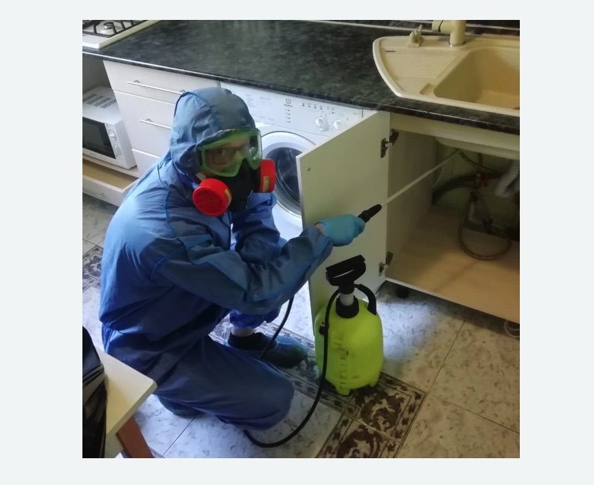 обработка от муравьев в квартире в Сорочинске