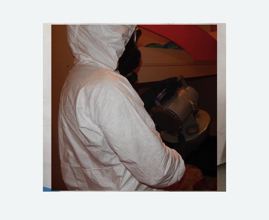 Дезинфекция от муравьев в Сорочинске