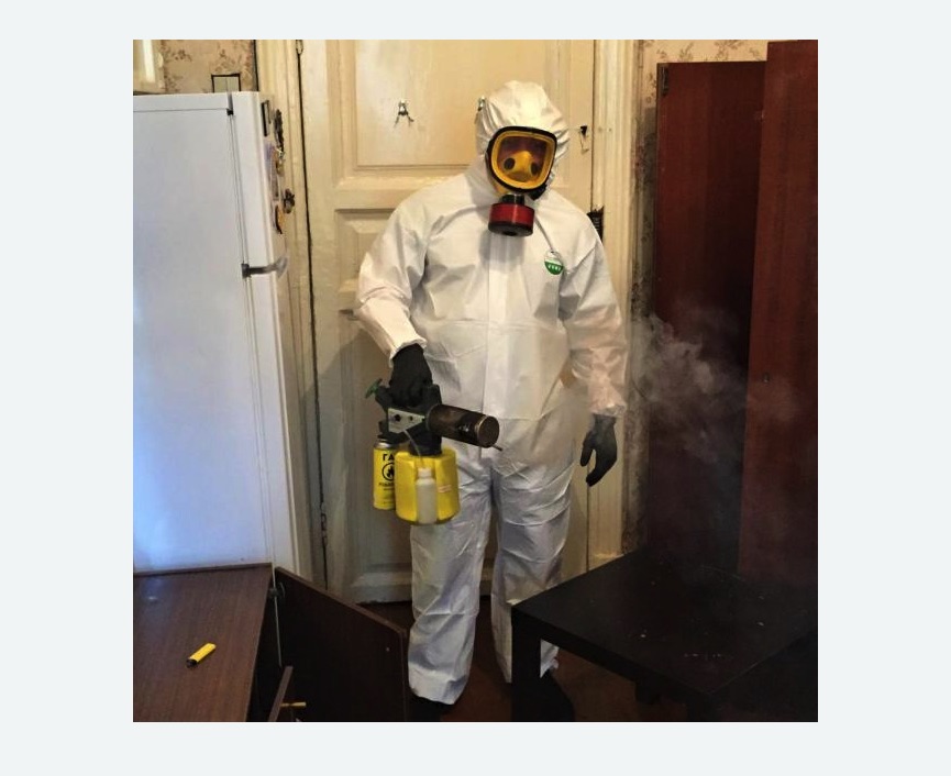 уничтожение муравьев в квартире в Сорочинске